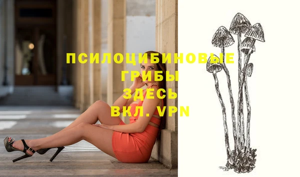 хмурый Алексеевка
