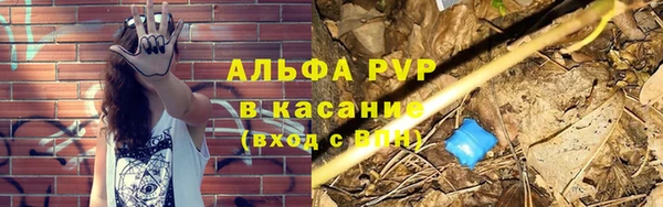 крисы Алзамай