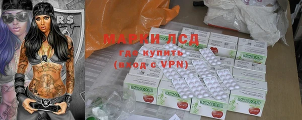 крисы Алзамай