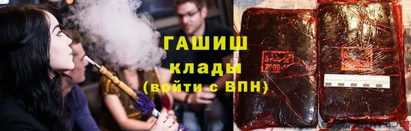 крисы Алзамай