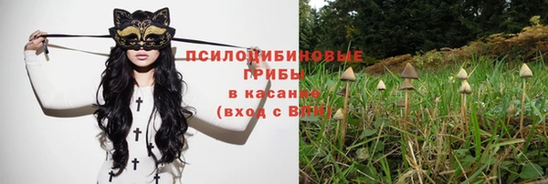 крисы Алзамай