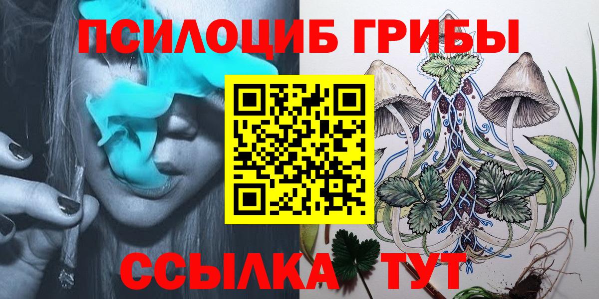 Псилоцибиновые грибы прущие грибы  Вход с VPN  Ижевск 