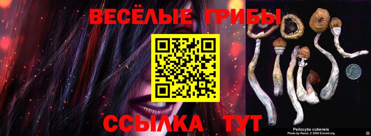 Псилоцибиновые грибы ЛСД  Ижевск 